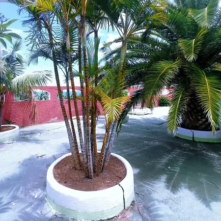 Live Garachico Daute Con Terraza Y Piscina 度假居